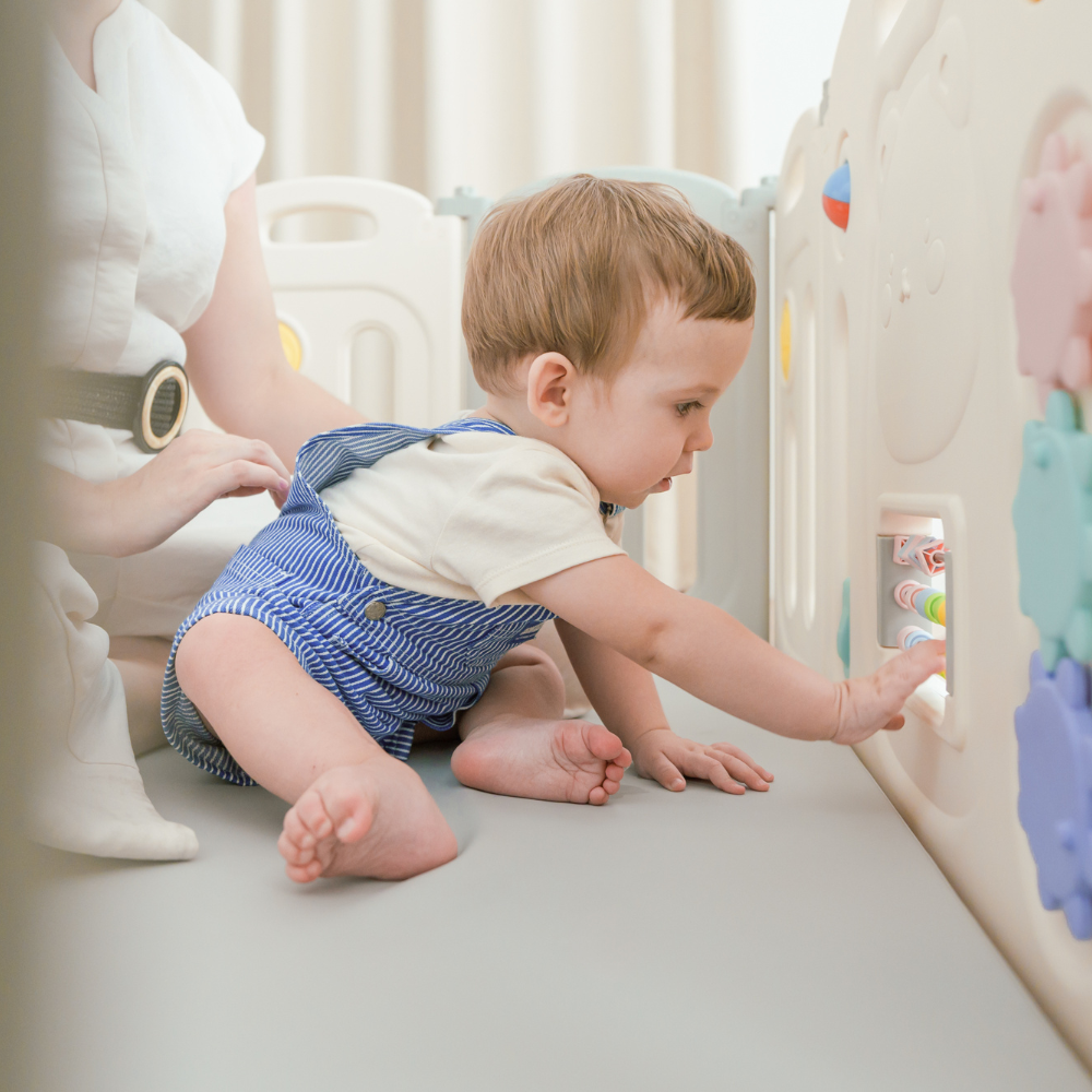 Raccoon Playpen - Fun Sensory