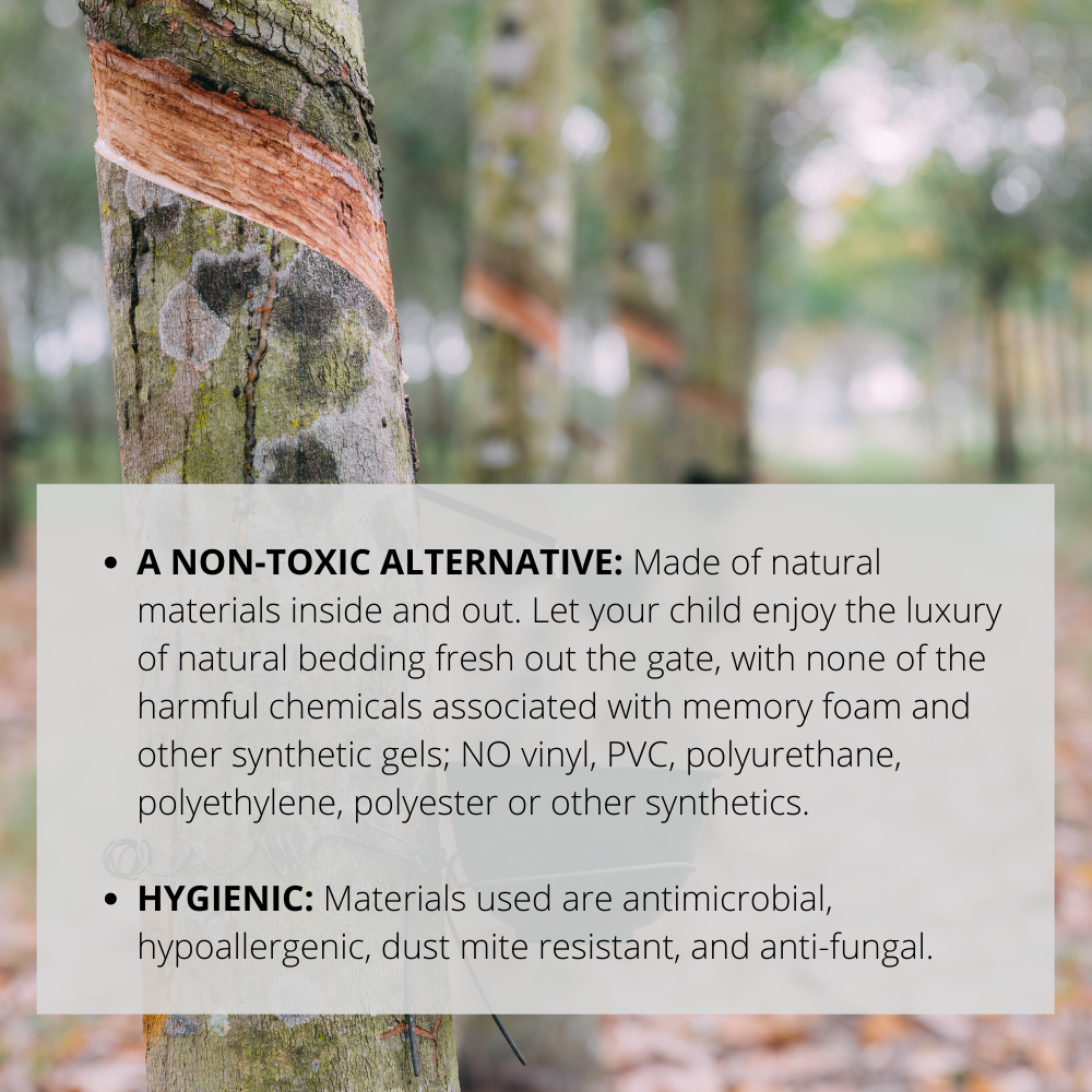 Natural Latex Mattress