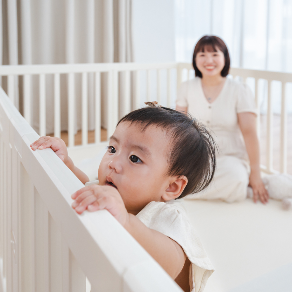 DreamNest House Playpen Play yard